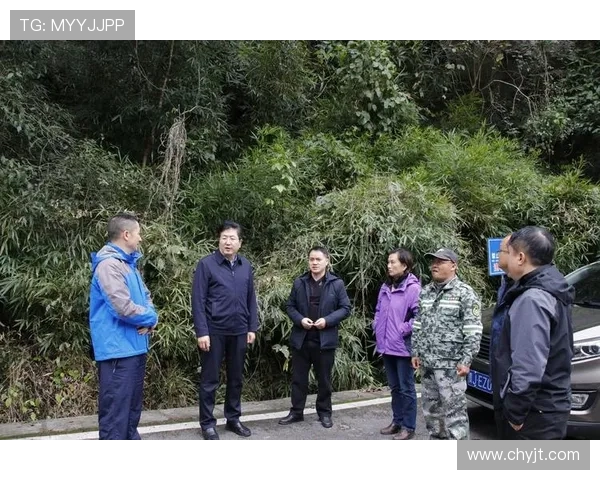 广州攀岩队的区域防守策略与技术分析深度探讨